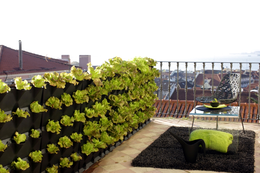 How to Start a Balcony Vegetable Garden