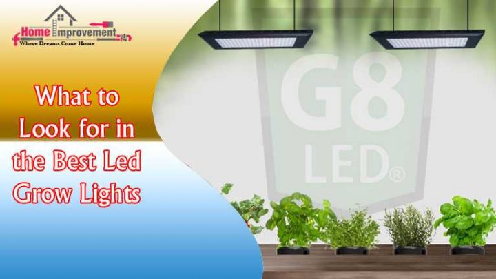 What to Look for in the Best Led Grow Lights