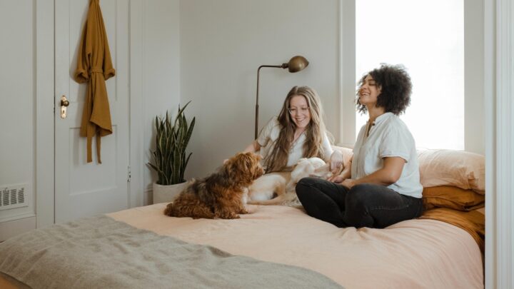 New Home, New Routine: How to Help Your Pet Transition Smoothly